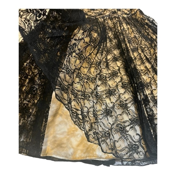 Vintage Drop Waist Pleated Lace Black & Cream Dress - Picture 3 of 16